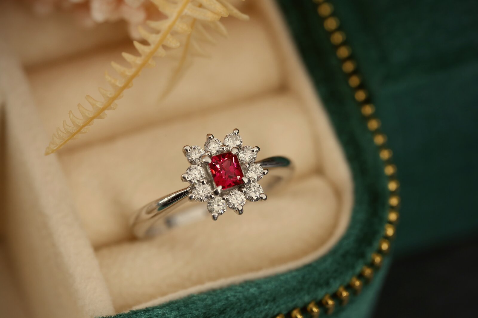 rings, 01